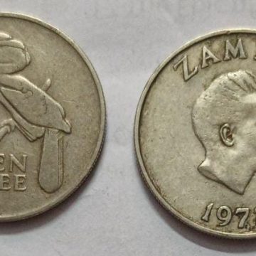 ZAMBIA 10 NGWEE 1972 Coin(USED)