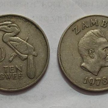 ZAMBIA 10 NGWEE 1978 Coin(USED)