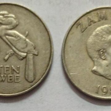 ZAMBIA 10 NGWEE 1982 Coin (USED)