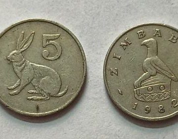 ZIMBABWE 5 CENT 1982 Coin (USED)