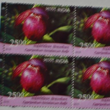 orchids of India ; Esmeralda Cypripedium himalaicum (Block of 4 TL Stamp)