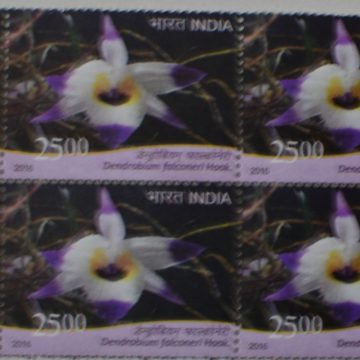 orchids of India ; Esmeralda Dendrobium falconeri  (Block of 4 TL Stamp)
