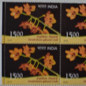 orchids of India ; Esmeralda Dendrobium gibsonil (Block of 4 TL Stamp)