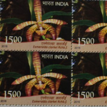 orchids of India ; Esmeralda Esmeralda clarkel (Block of 4 TL Stamp)