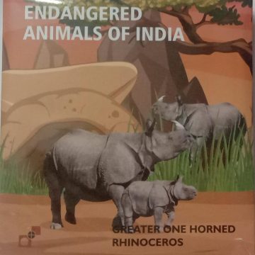 Greater One Horned Rhinoceros-(Prof Set)