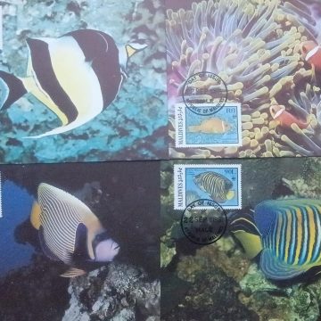 WWF-Emperor Angelfis-Maldives Set of 4 Maximum Cards