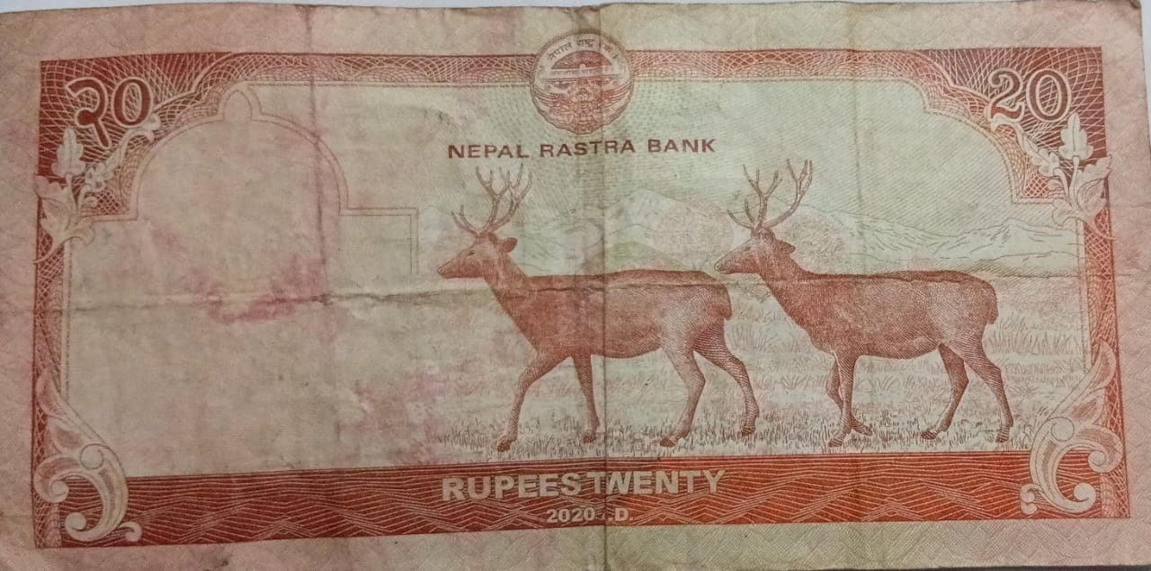 Nepal Currency 20 Rupees 2020 (Used) - Image 2