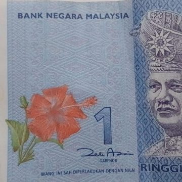 Malaysia Currency 1 Ringgit polymer (Used)