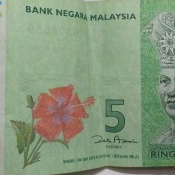 Malaysia Currency 5 Ringgit polymer (Used)