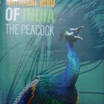 NATIONAL BIRD OF INDIA -THE PEACOCK (SOUVENIR COIN )