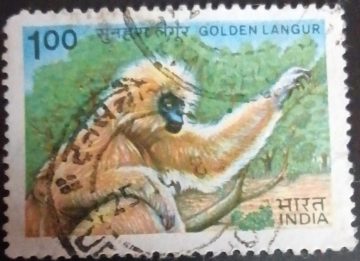 Indian wildlife: Golden Langur Used Stamp