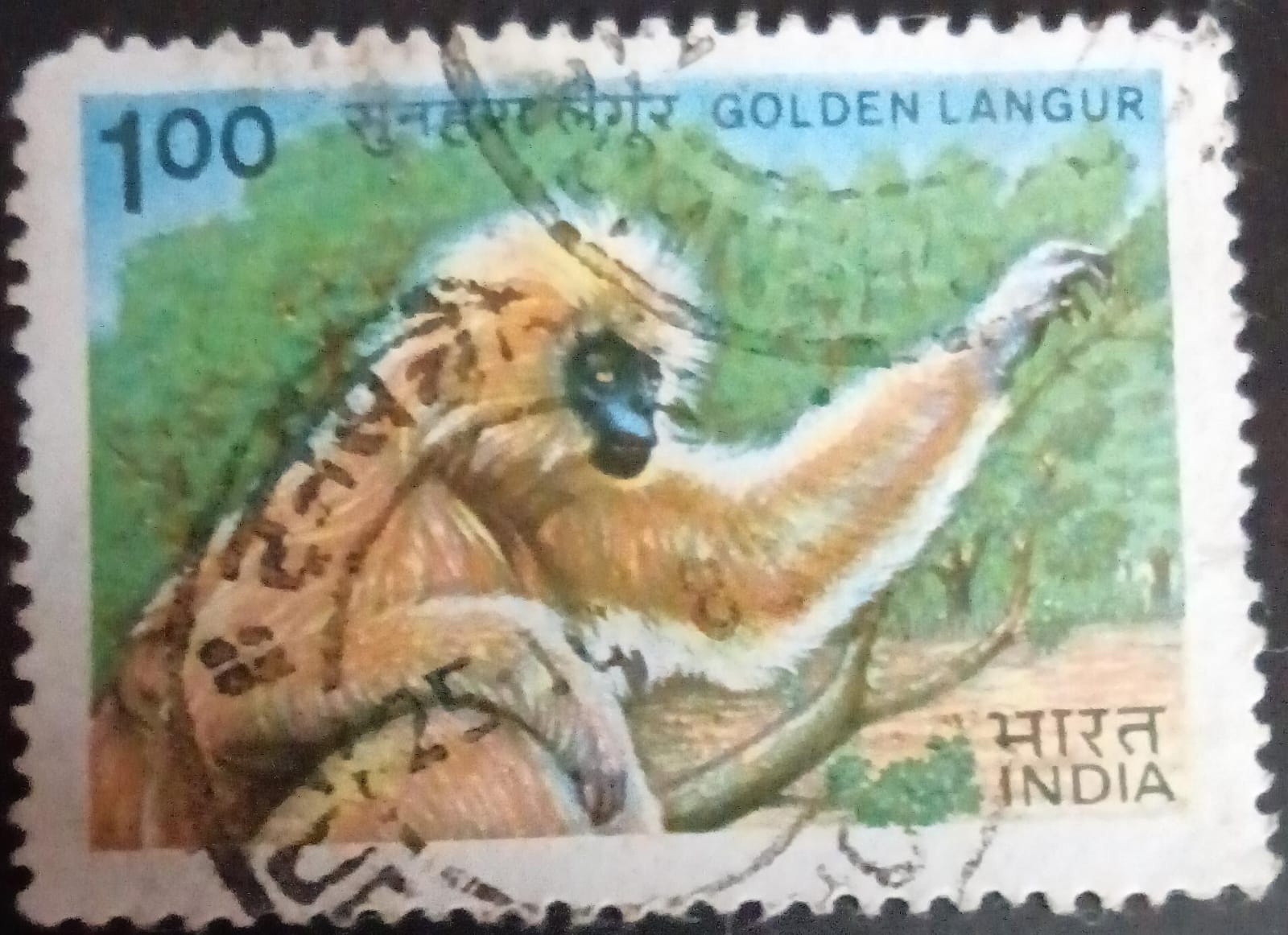 Indian wildlife: Golden Langur Used Stamp