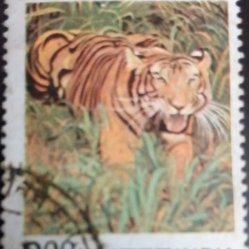 Project Tiger. Tiger, Wild Animal, Panthera Tigris Tigris, Protection Project,Rs. 2 Used Stamp