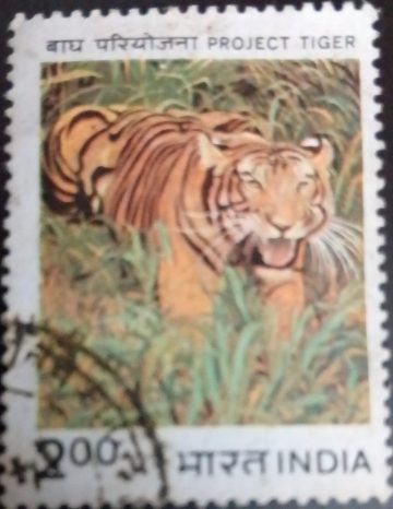 Project Tiger. Tiger, Wild Animal, Panthera Tigris Tigris, Protection Project,Rs. 2 Used Stamp