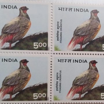 Himalayan Ecology,Ithaginis cruentus, Blood pheasant (Block of 4 stamp)