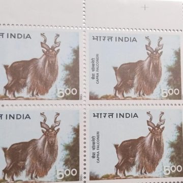 Himalayan Ecology, Capra falconeri, Markhor(Block of 4 stamp)