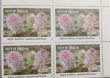 Himalayan Ecology, Meconopsis horridula, himalayan poppy(Block of 4 stamp)