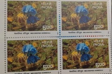 Himalayan Ecology,saussurea simpsoniana, phen kamal (Block of 4 stamp)