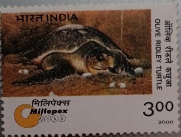 Endangered species:Olive Ridley Turtle Rs.3_Cut Setenant