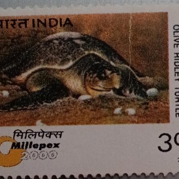 Endangered species:Olive Ridley Turtle Rs.3_Cut Setenant