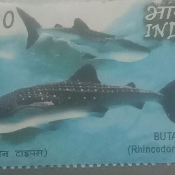 IndiaPhillippines Joint issue Butanding_Cut Setenant