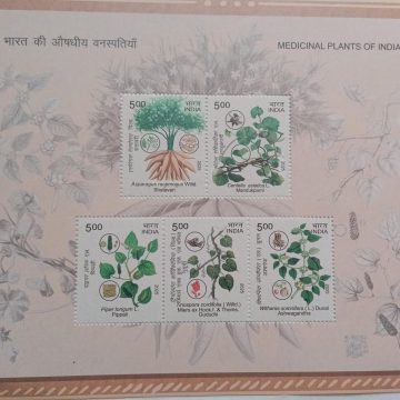 MEDICINAL PLANTS OF INDIA 2025 (PMS)