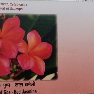 State Flower of Goa-Red Jasmine (Special Cover)