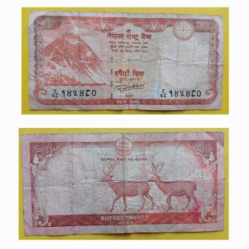 Nepal Currency 20 Rupees 2020 Used