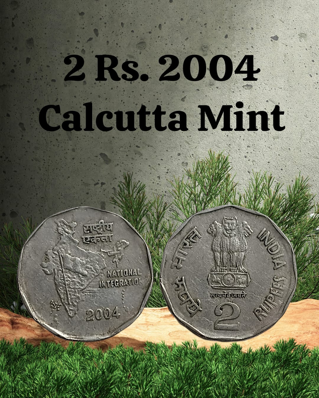 2 RUPEES-2004 USED COIN
