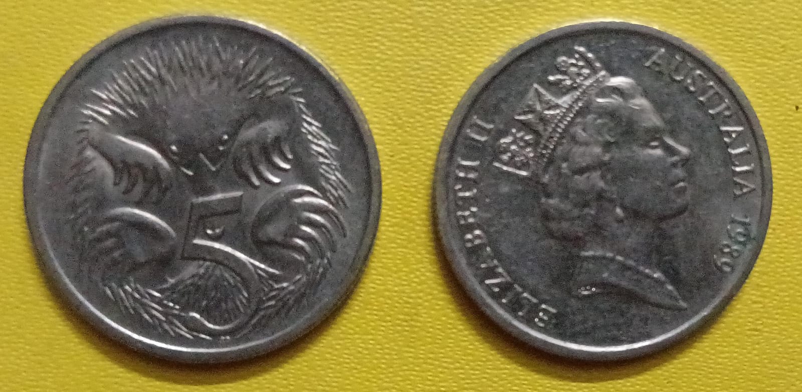 AUSTRALIA 5 CENT 1989 USED COIN