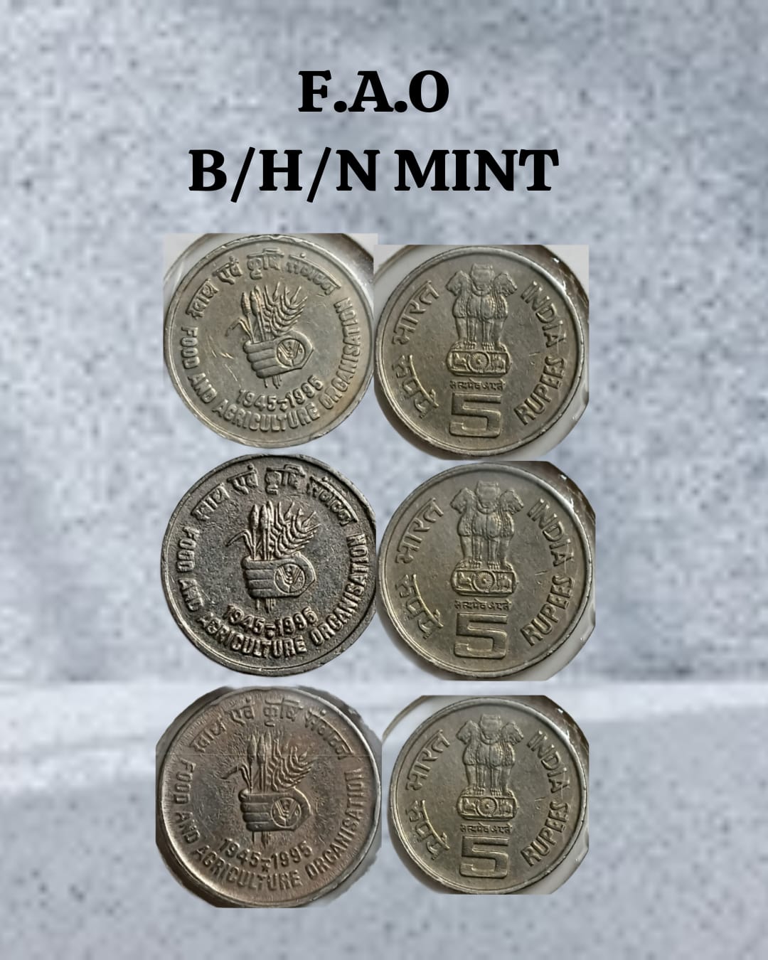 5 Rupees - Food & Agriculture Org ( F A O) Used 3 COINS -B/H/N Mint