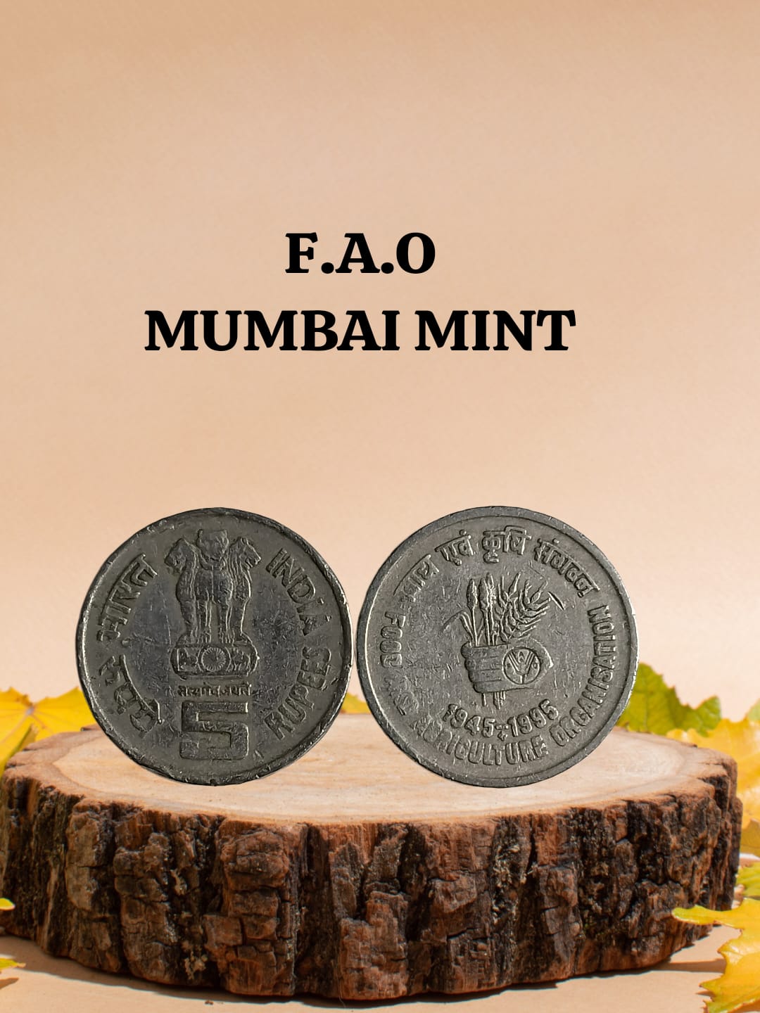 5 Rupees - Food & Agriculture Organisation ( FAO) BOMBAY MINT USED COIN