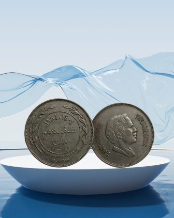 JORDAN 50 FILLS 1984 (used)