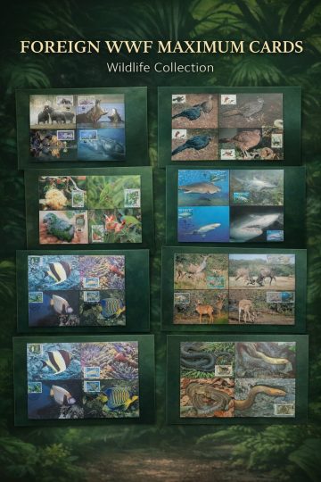 Foreign WWF Maxim Postcards