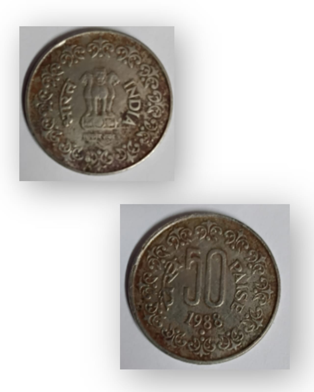 50 Paise – 1988 – Used (Noida Mint) Coin