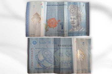 Malaysia Currency 1 Ringgit (Polymer) Used