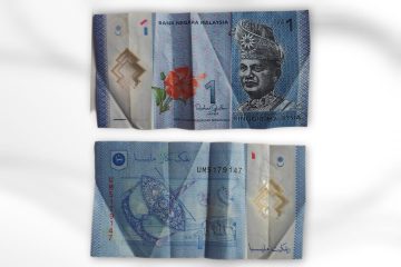 Malaysia Currency 1 Ringgit (Polymer) Used