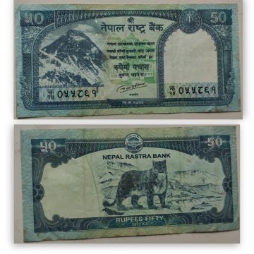 Nepal Currency 50 Rupees 2019 - Used